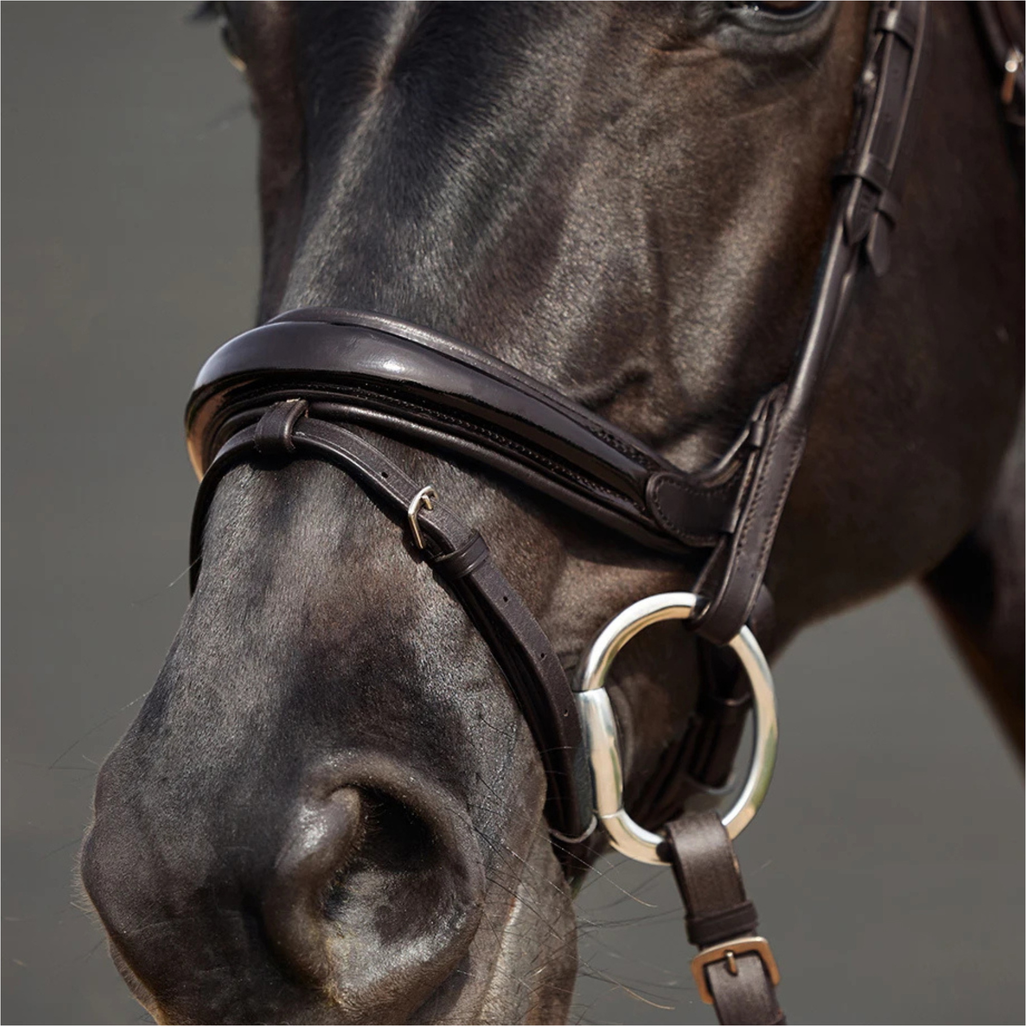 2026 Dublin Padded Mono Crown Patent Flash Bridle 1031501 - Brown